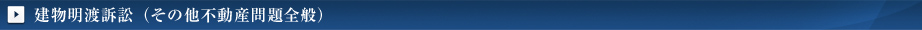 建物明渡訴訟(その他不動産問題全般)