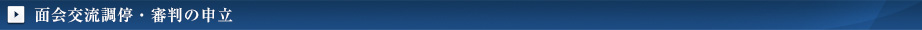 面会交流調停・審判の申立