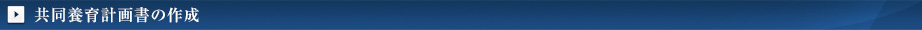 共同養育計画書の作成
