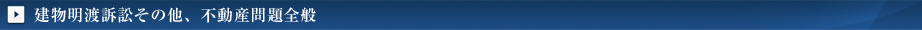 建物明渡訴訟その他、不動産問題全般