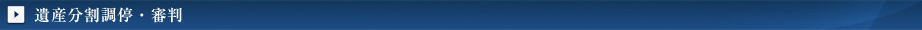 遺産分割調停・審判